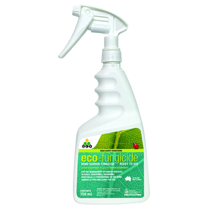 eco-fungicide-ready-to-use-spray-750ml